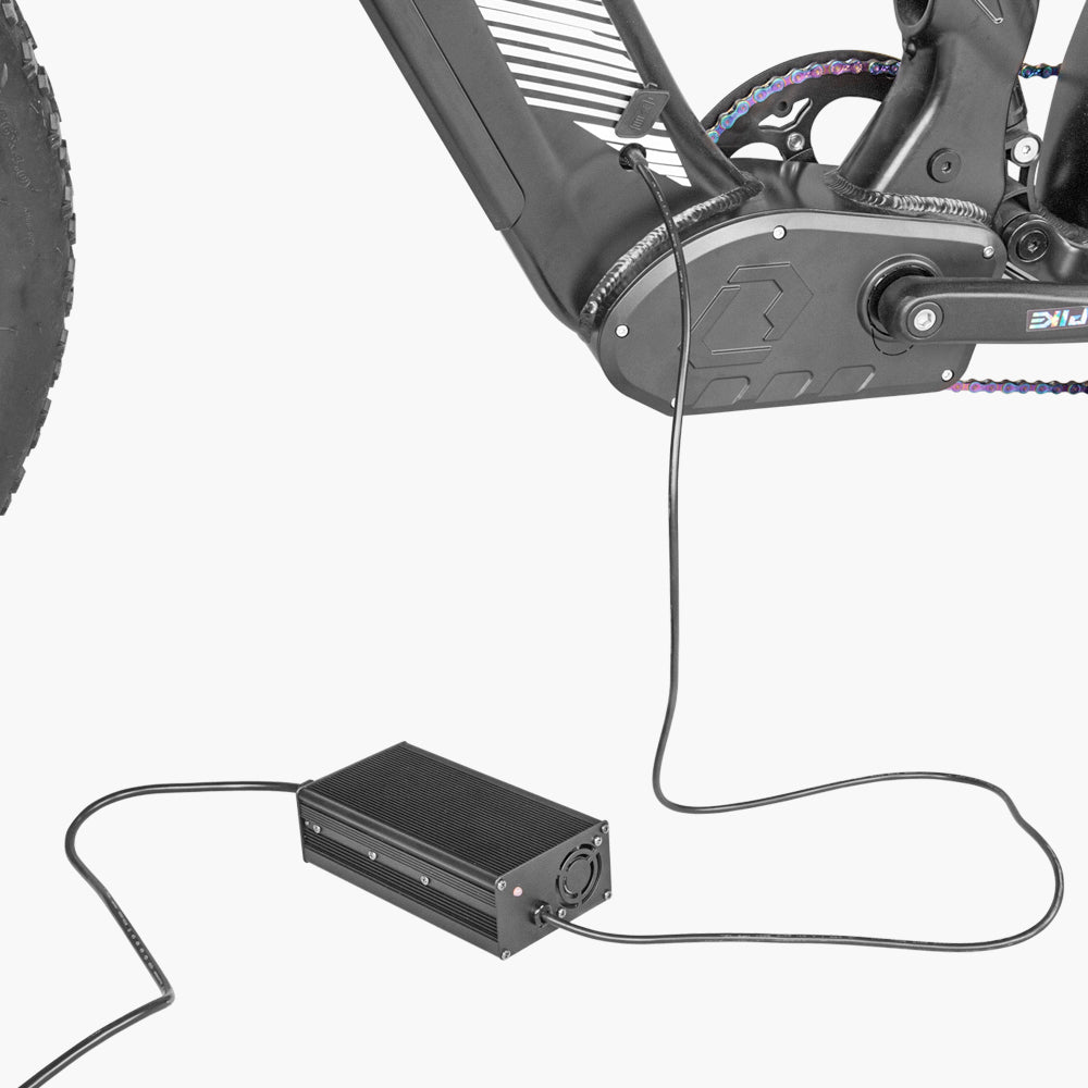 52V 5A fast charger for Ranger/Trax/Ovia/Roam/Rover