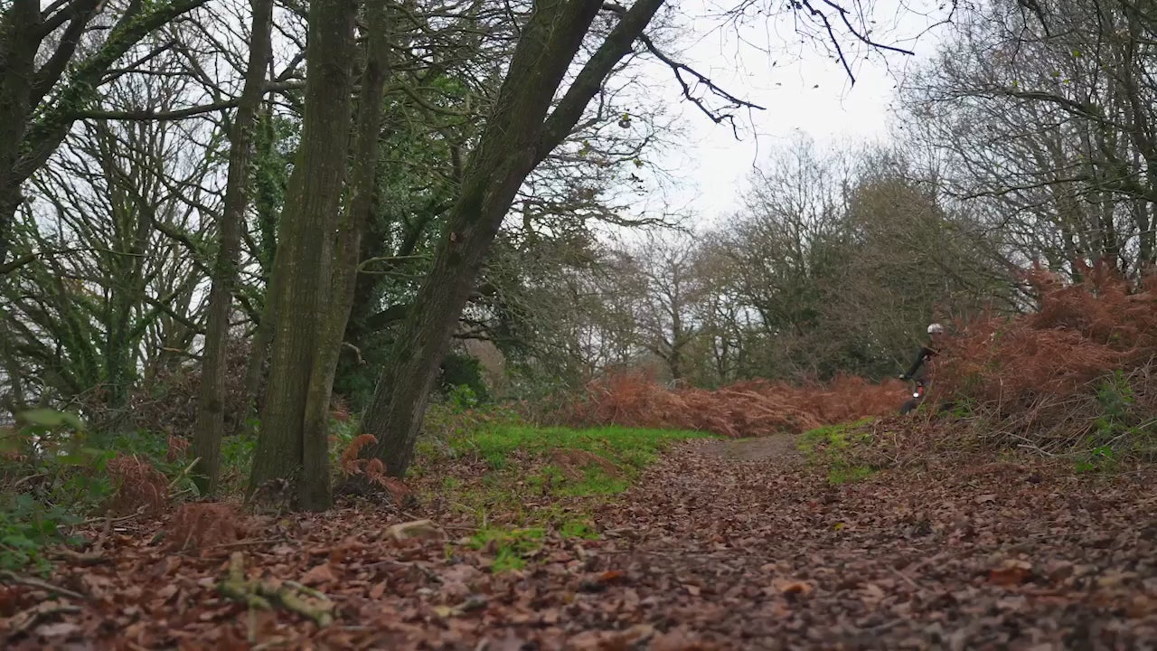 24" Trax Step-through All-terrain Ebike