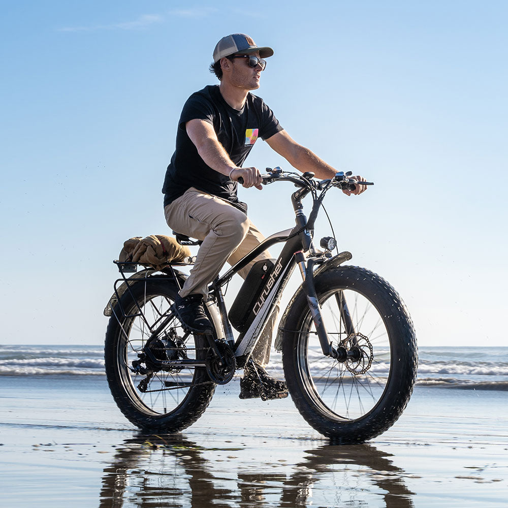 Cyrusher XF650, Affordable Ebike
