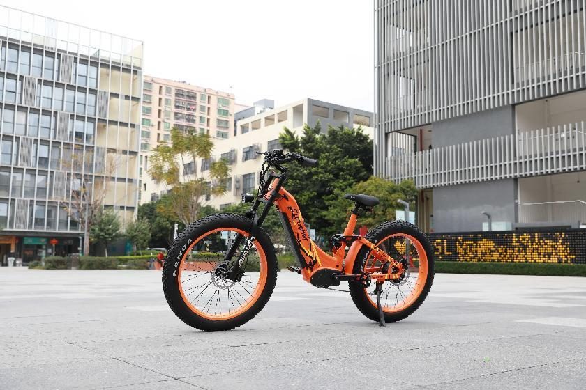 Blog- best all terrain electric bike Trax