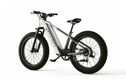Zenith Fat Tire E-Bike