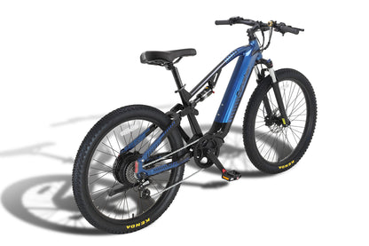 Flex Mountain E-Bike
