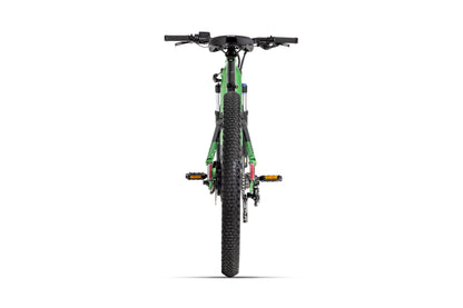 Flex Mountain E-Bike