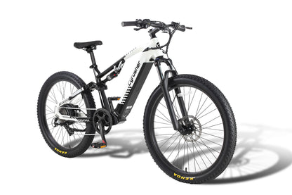 Flex Mountain E-Bike