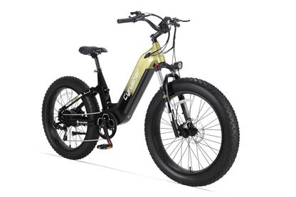 Roam All-Terrain Electric Bike