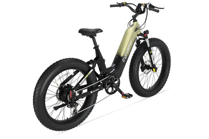 Roam All-Terrain Electric Bike