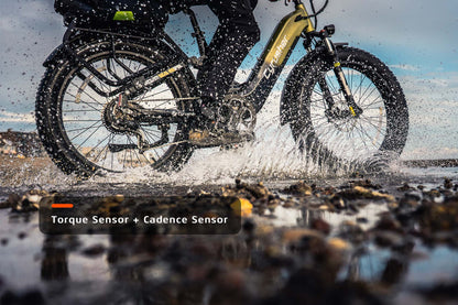 Roam All-Terrain Electric Bike