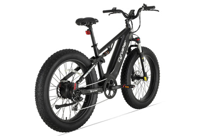 Rover, All-Terrain Ebike