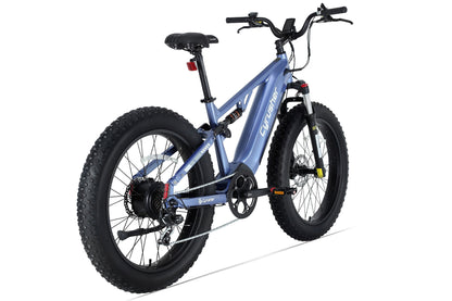 Rover, All-Terrain Ebike