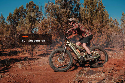 Rover, All-Terrain Ebike