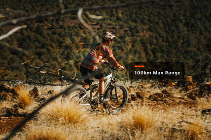 Rover, All-Terrain Ebike