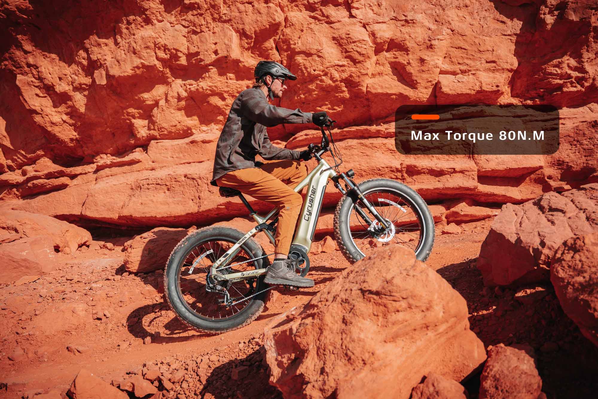 Rover, All-Terrain Ebike