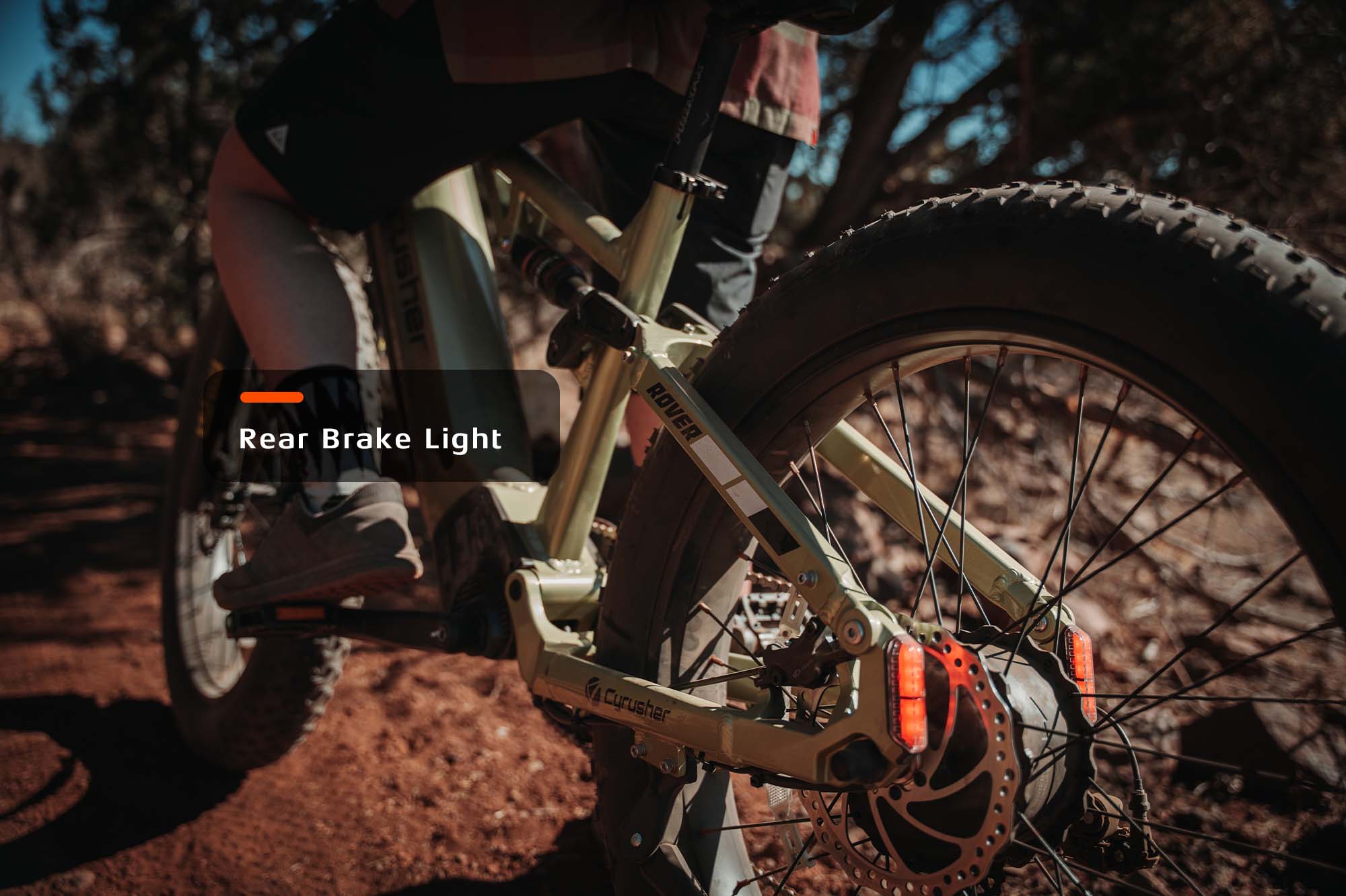 Rover, All-Terrain Ebike