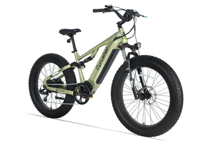 Rover, All-Terrain Ebike