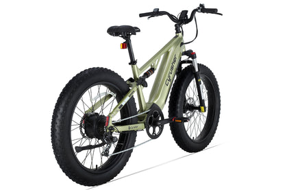 Rover, All-Terrain Ebike