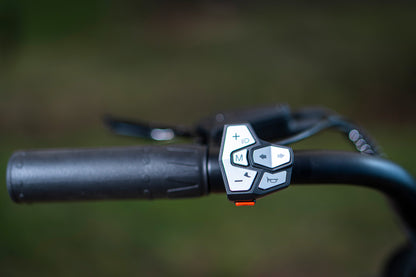 Trax 2.0 All-Terrain Electric Bike