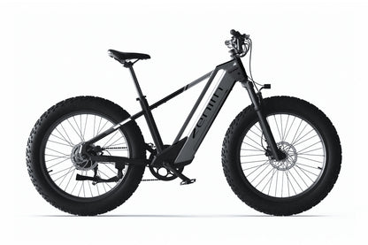 Zenith Fat Tire E-Bike