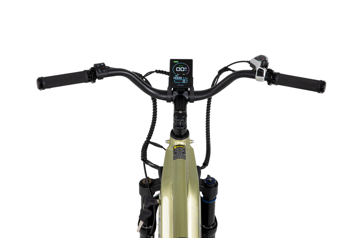 Rover, All-Terrain Ebike