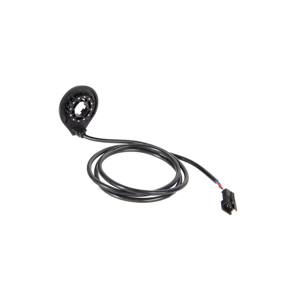 Sensor