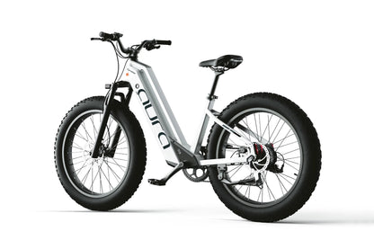 Aura Fat Tire E-Bike