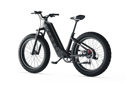 Aura Fat Tire E-Bike