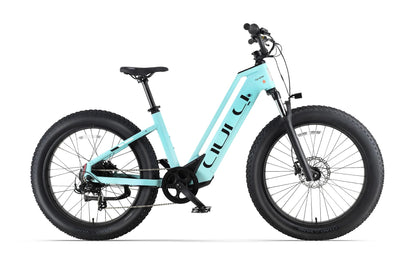 Aura Fat Tire E-Bike