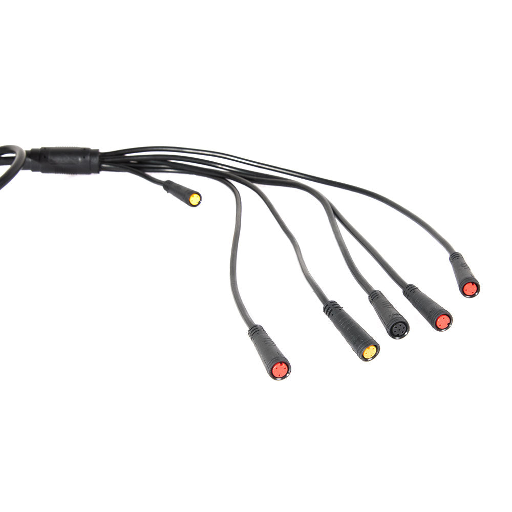 Main Cable