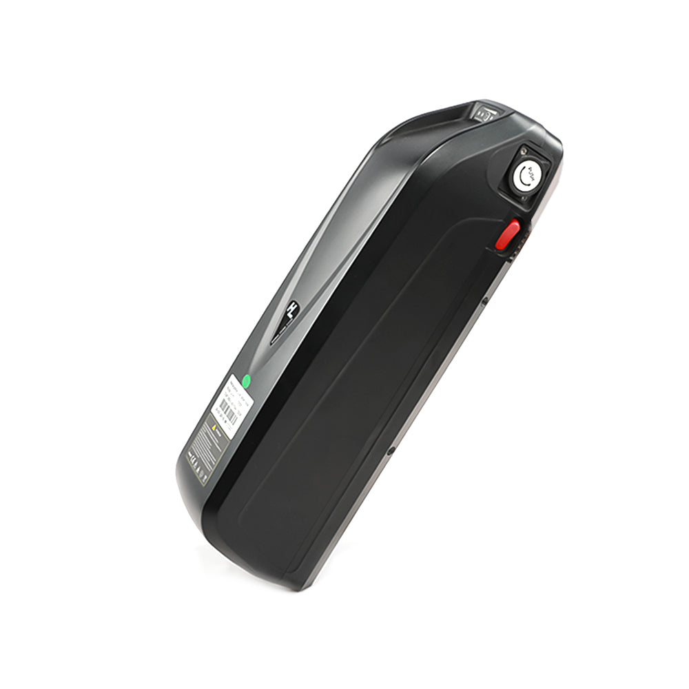 48V 17Ah/ 20Ah Ebike Battery for XF900
