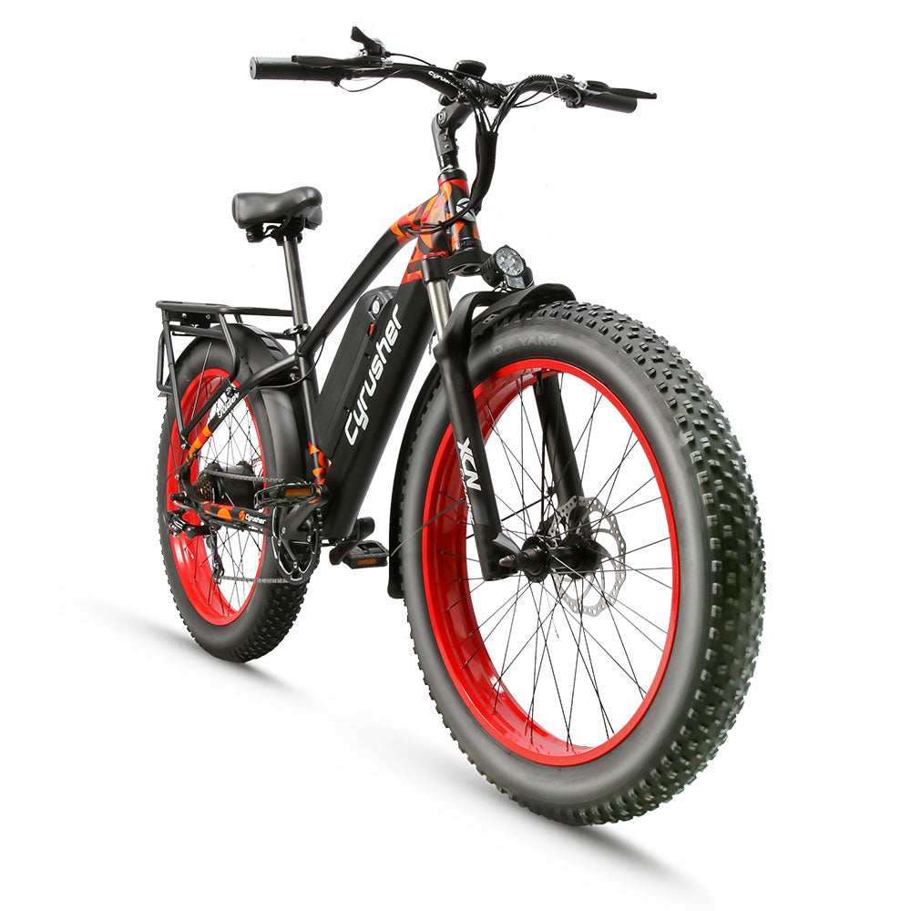 xf650 ebike